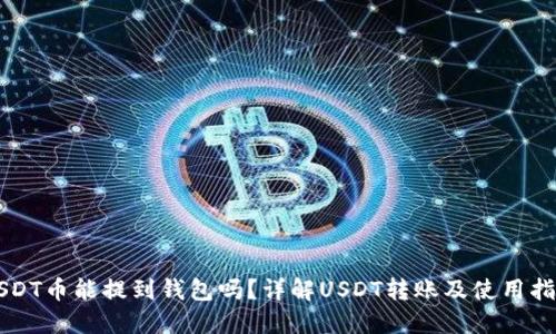 USDT币能提到钱包吗？详解USDT转账及使用指南