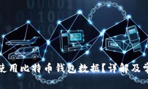 如何打开和使用比特币钱包数据？详解及常见问题解答