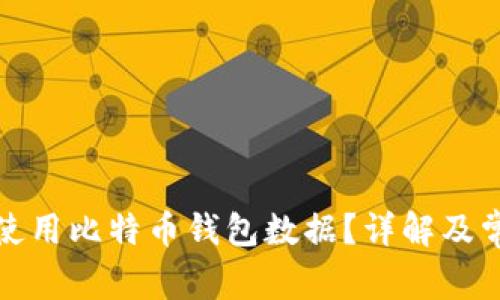 如何打开和使用比特币钱包数据？详解及常见问题解答