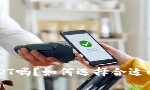  钱包可以放USDT吗？如何选择合适的钱包存储USDT