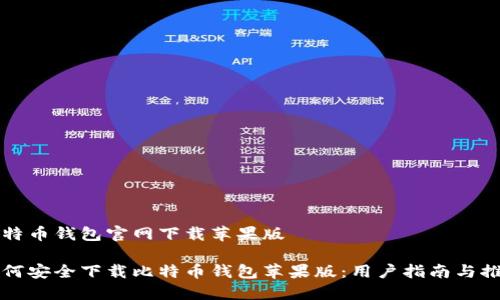 比特币钱包官网下载苹果版

如何安全下载比特币钱包苹果版：用户指南与推荐