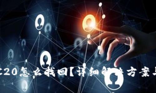 TP钱包转错ERC20怎么找回？详细解决方案与常见问题解答