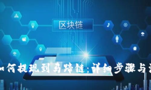 TP钱包如何提现到马蹄链：详细步骤与注意事项