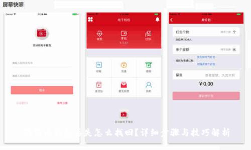 狗狗币钱包丢失怎么找回？详细步骤与技巧解析