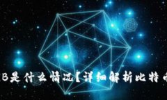 比特币钱包100多GB是什么情况？详细解析比特币区