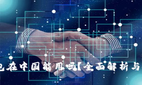 USDT钱包在中国能用吗？全面解析与使用指南
