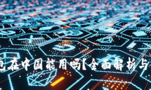 USDT钱包在中国能用吗？全面解析与使用指南