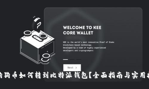 : 狗狗币如何转到比特派钱包？全面指南与实用技巧