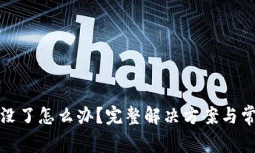 tp钱包币全没了怎么办？完整解决方案与常见问题解析