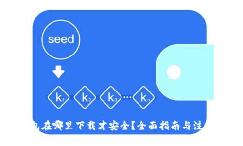 TP钱包在哪里下载才安全？全面指南与注意事项