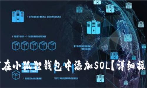 : 如何在小狐狸钱包中添加SOL？详细操作指南