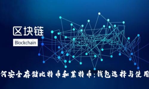 : 如何安全存储比特币和莱特币：钱包选择与使用指南