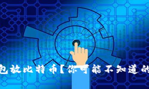 : 一般用什么钱包放比特币？你可能不知道的选择和注意事项