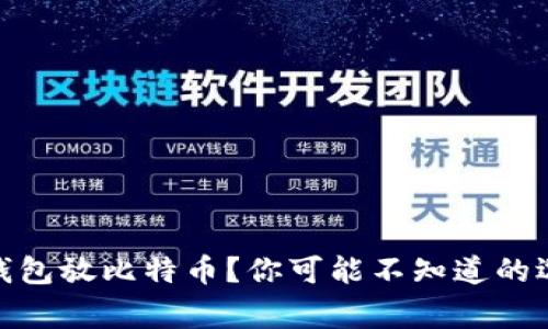 : 一般用什么钱包放比特币？你可能不知道的选择和注意事项