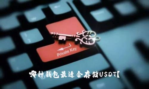 哪种钱包最适合存储USDT？