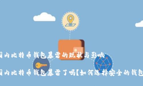 国内比特币钱包暴雷的现状与影响

国内比特币钱包暴雷了吗？如何选择安全的钱包？