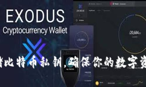 如何安全存储比特币私钥，确保你的数字资产不被盗取？