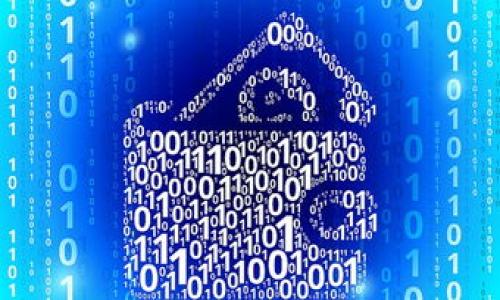 最大的以太坊钱包币:如何选择和管理你的数字资产