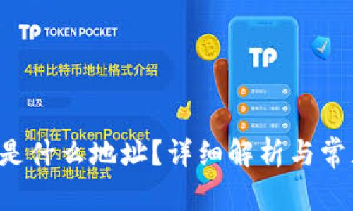 TP钱包提U是什么地址？详细解析与常见问题解答