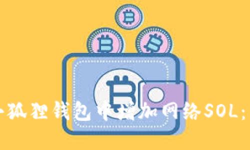如何在小狐狸钱包中增加网络SOL：详细指南