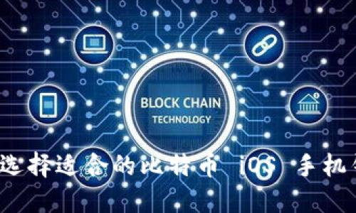 如何选择适合的比特币 iOS 手机钱包？