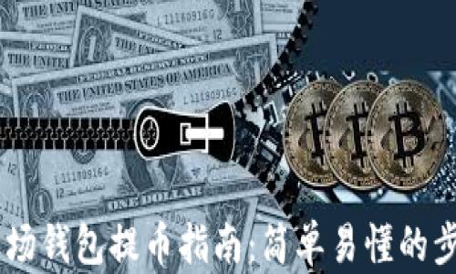 
USDT波场钱包提币指南：简单易懂的步骤解说