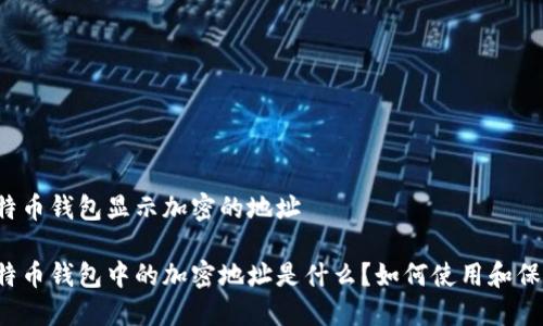 比特币钱包显示加密的地址

比特币钱包中的加密地址是什么？如何使用和保护？