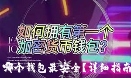   
SHIB用哪个钱包最安全？详细指南和推荐