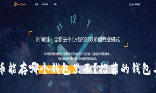 biasiti屎币能存哪个钱包里面？推荐的钱包与存储指南