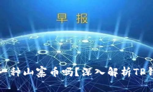 : TP钱包是一种山寨币吗？深入解析TP钱包及其特点