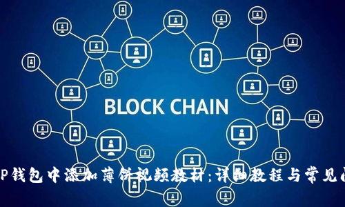 如何在TP钱包中添加薄饼视频教材：详细教程与常见问题解答