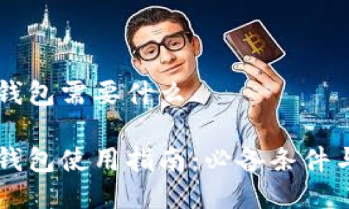 国内版TP钱包需要什么

国内版TP钱包使用指南：必备条件与功能详解