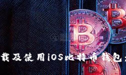 : 如何下载及使用iOS比特币钱包：全面指南
