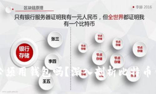 比特币支付必须用钱包吗？深入剖析比特币钱包的必要性