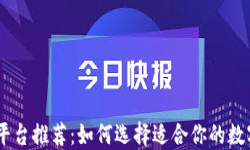 
USDT钱包平台推荐：如何选择适合你的数字货币钱包