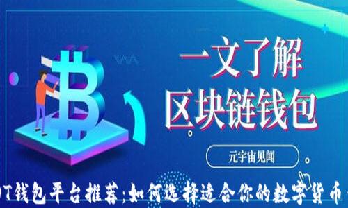 
USDT钱包平台推荐：如何选择适合你的数字货币钱包