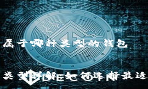 area
比特币钱包属于哪种类型的钱包
/area

比特币钱包类型详解：如何选择最适合你的钱包