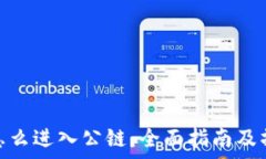  tp钱包怎么进入公链：全面指南及操作步骤