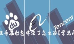 TP钱包提币在打包中没了怎么办？常见问题解答