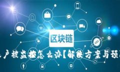 : TP钱包账户被监控怎么办？解决方案与预防措施