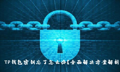  TP钱包密钥忘了怎么办？全面解决方案解析