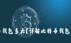 : 一个比特币钱包多大？详解比特币钱包的容量与