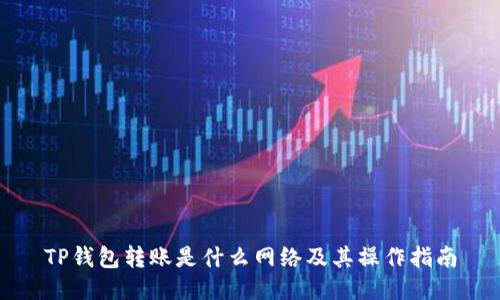 TP钱包转账是什么网络及其操作指南