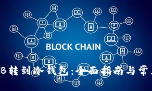 如何将SHIB转到冷钱包：全面指南与常见问题解答